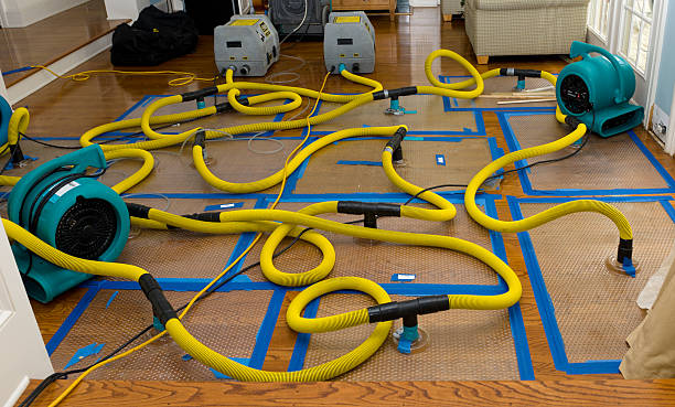 Professional Basement Flood Cleanup technician working in Colfax, CA